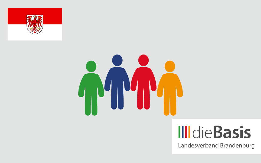 diebasis - Landesverband Brandenburg - symbolisches Gruppenbild mit Personas in Säulenfarben